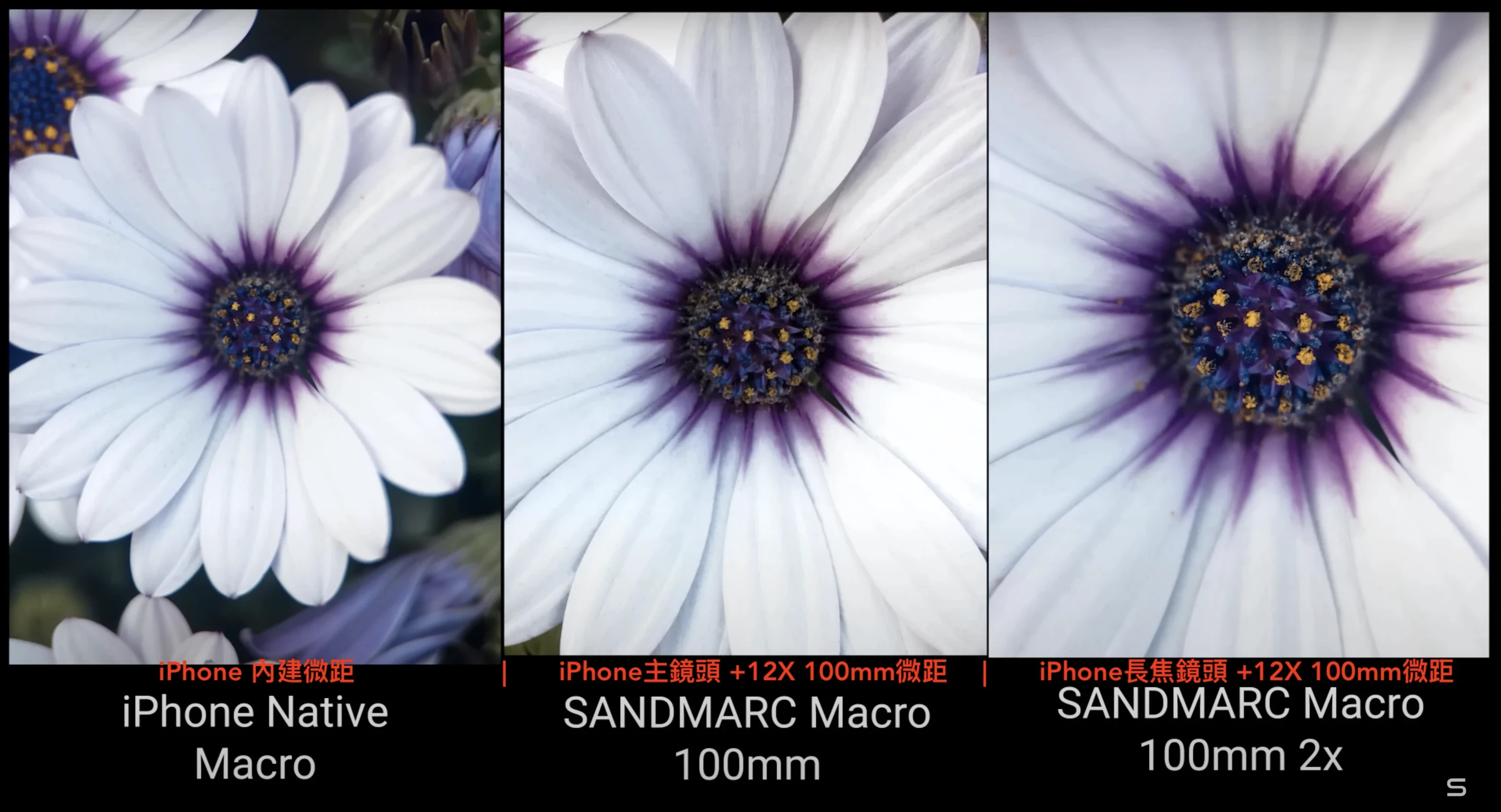 iPhone 微距 與 外接《升級版》SANDMARC 12X 100mm 微距鏡頭  拍攝效果比較